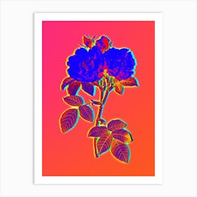 Neon Italian Damask Rose Botanical in Hot Pink and Electric Blue n.0256 Art Print