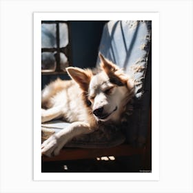 Dog Sleeping On A Chair 1 Art Print