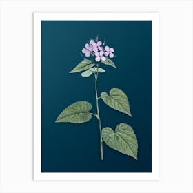 Vintage Morning Glory Flower Botanical Art on Teal Blue n.0646 Art Print
