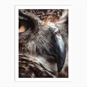 Great Horned Owl Beak Art Print