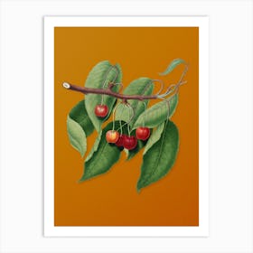 Vintage Cherry Botanical on Sunset Orange n.0643 Art Print