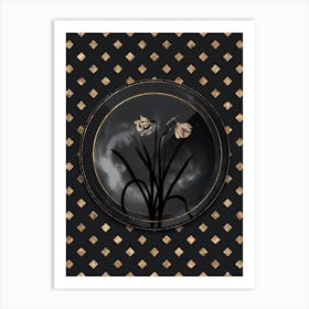 Shadowy Vintage Narcissus Candidissimus Botanical in Black and Gold n.0008 Art Print