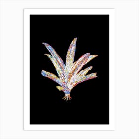 Stained Glass Boat Lily Mosaic Botanical Illustration on Black Art Print
