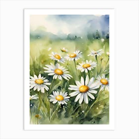 Daisy flowers Art Print