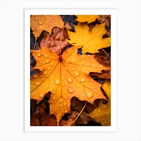 Autumn Leaves after Rain Art Print