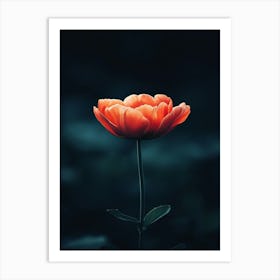 Tulip Flower Art Print