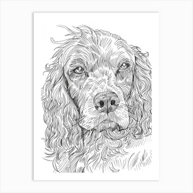 Boykin Spaniel Dog Line Art 1 Art Print
