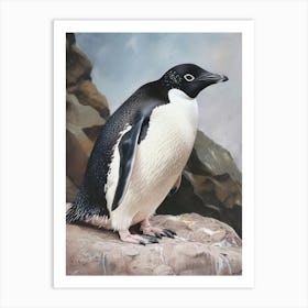 Adlie Penguin Stewart Island Ulva Island Oil Painting 2 Art Print