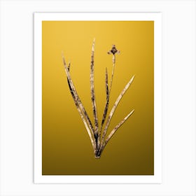 Gold Botanical Iris Martinicensis on Mango Yellow n.3653 Art Print