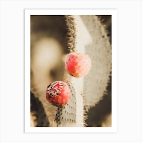 Red Cactus Fruit Art Print