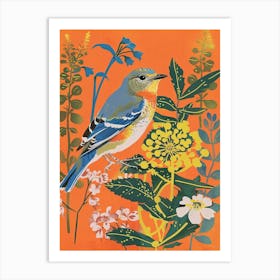 Spring Birds Eastern Bluebird 1 Art Print