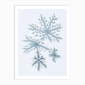 Fernlike Stellar Dendrites, Snowflakes, Quentin Blake Illustration Art Print