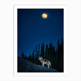 Wolf In The Moonlight 4 Art Print