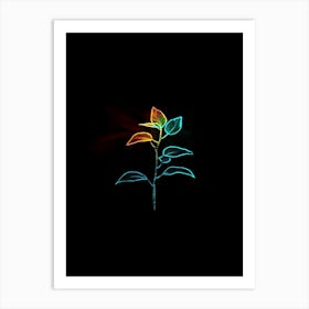 Rainbow Plant 9 Art Print