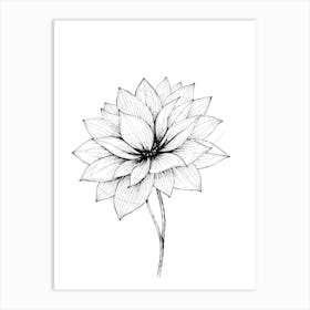 Lotus Flower 2 Art Print