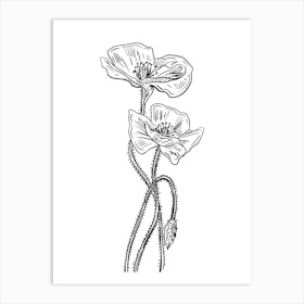 Poppy Flower Vector Illustration Art Print