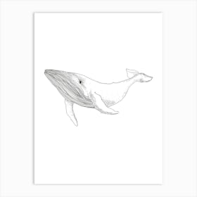 The Whale Art Print