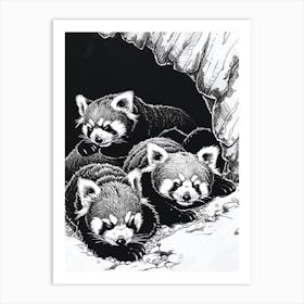 Red Panda Family Sleeping In A Cave Ink Illustration 3 Art Print