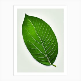 Slippery Elm Leaf Vibrant Inspired 2 Art Print