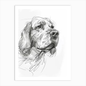 Clumber Spaniel Dog Charcoal Line 3 Art Print