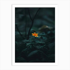 Yellow Flower In The Dark 9 Art Print