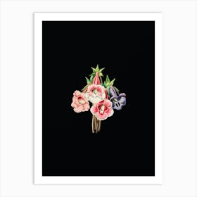 Vintage Gloxinia Flower Botanical Illustration on Solid Black n.0124 Art Print