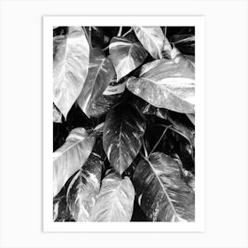 Black And White Leaves 5 Art Print