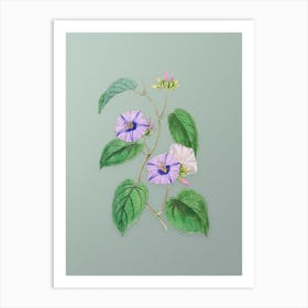 Vintage Hoary Jacquemontia Flower Botanical Art on Mint Green n.0202 Art Print