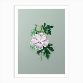 Vintage Wray's Hibiscus Flower Botanical Art on Mint Green Art Print