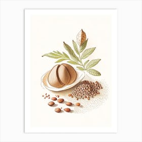 Nutmeg Spices And Herbs Pencil Illustration 3 Art Print