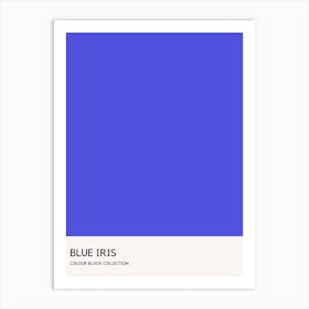 Blue Iris Colour Block Poster Art Print