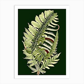 Ribbon Fern Vintage Botanical Poster Art Print
