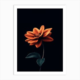 Orange Flower Art Print