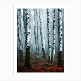 Birch Forest 89 Art Print