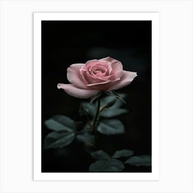 Dark Rose 158 Art Print