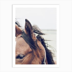 Horse Ears Art Print