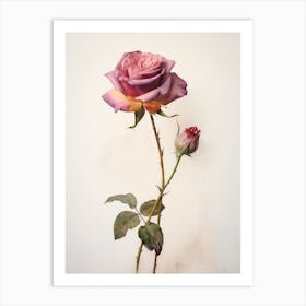 Pressed Flower Botanical Art Rose 1 Art Print