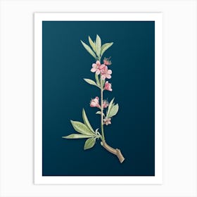 Vintage Pink Flower Branch Botanical Art on Teal Blue n.0365 Art Print