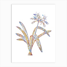 Stained Glass Pancratium Illyricum Mosaic Botanical Illustration on White Art Print