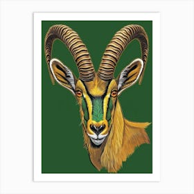 Head Of A Gazelle Art Print