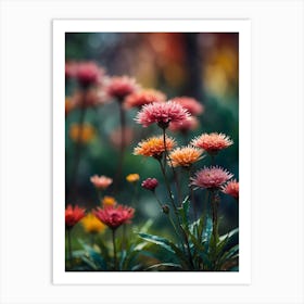 Chrysanthemums 1 Art Print