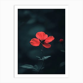 Dark Red Flower 3 Art Print