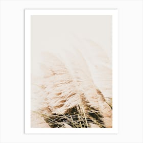 Breezy Pampas Grass Art Print