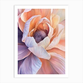 Peony Flower 1 Art Print