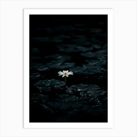 Single Flower In Water 20 Art Print