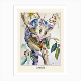 Opossum Colourful Watercolour 3 Poster Art Print