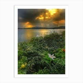 Sunset, sea and vegetation Art Print