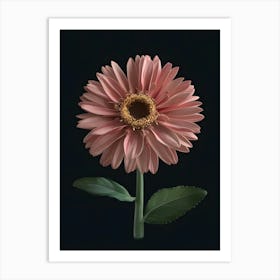 Pink Gerbera Flower Art Print