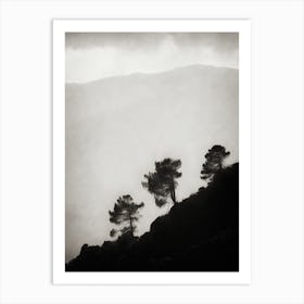Mountainside Trees Art Print