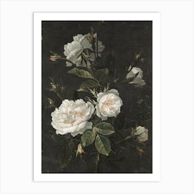 Still Life French Roses Art Print